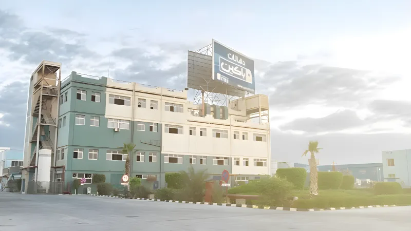 Pachin Paints Factory installation